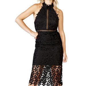Bardot Gemma Halter Lace Sheath Cocktail Dress